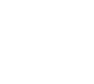 leroymerlin-logo